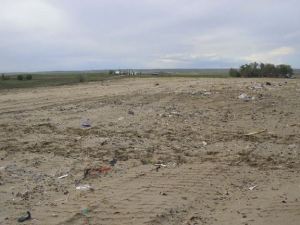 Landfill Landscape